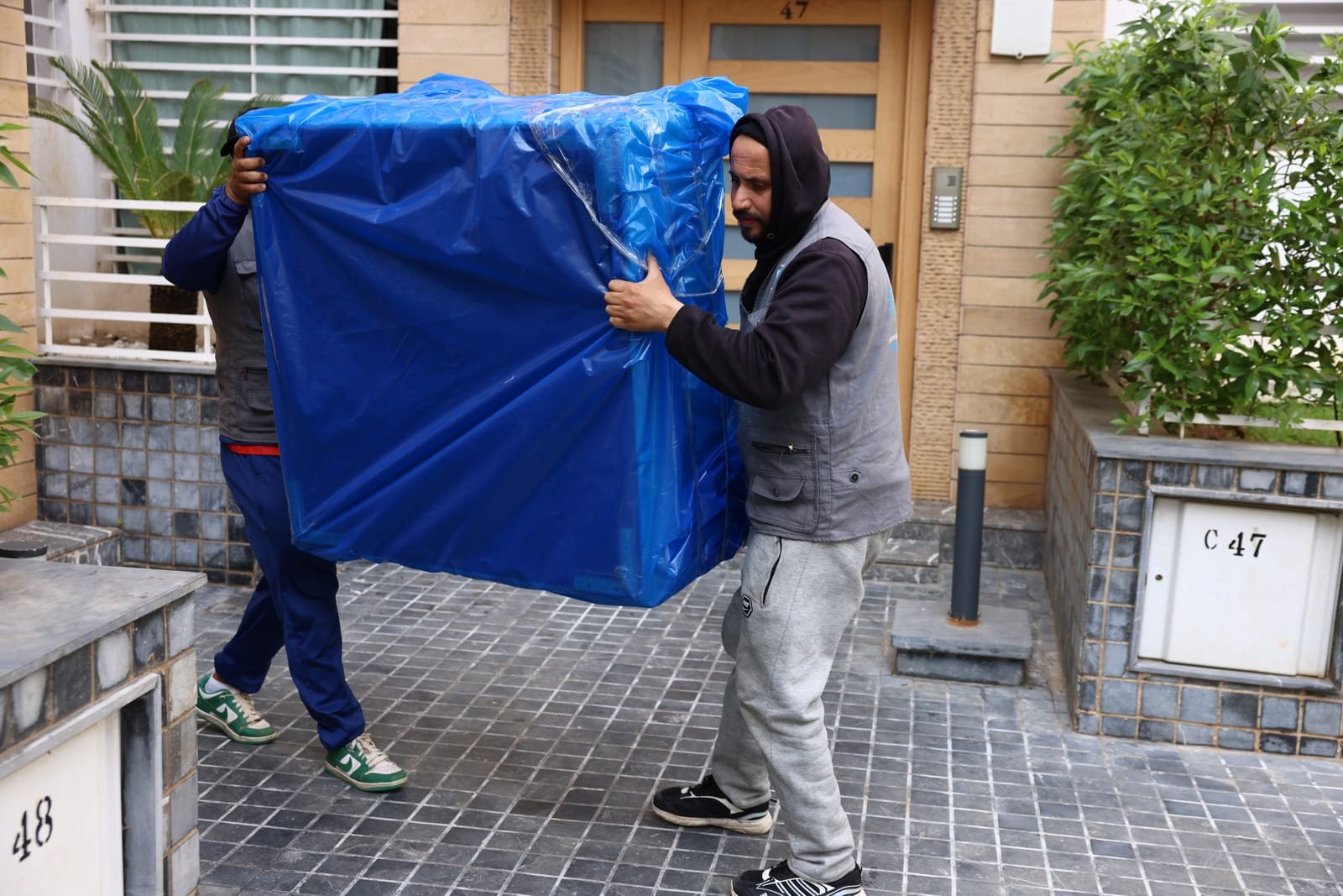 Cameo Trans — chantier documenté