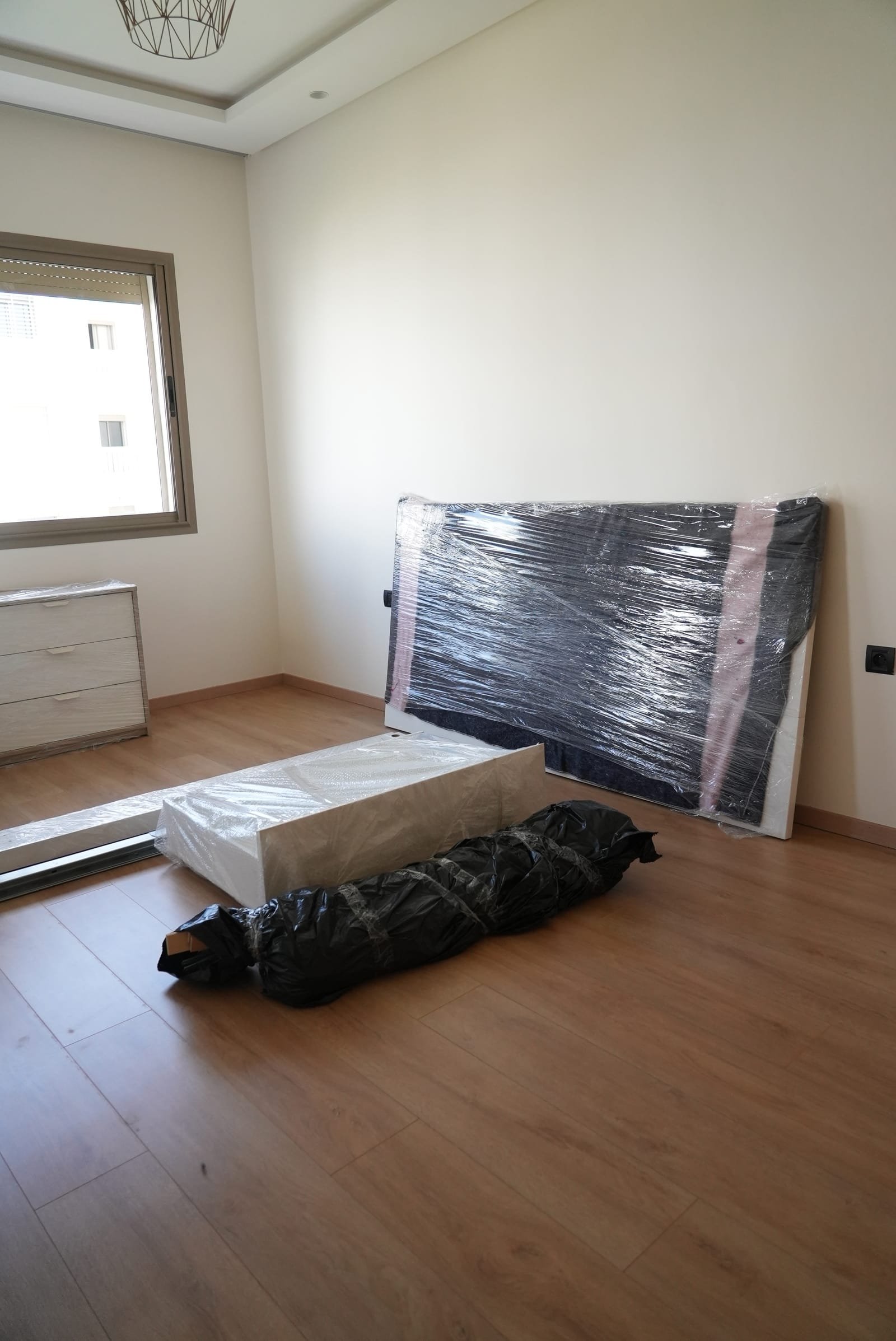 Cameo Trans — chantier documenté